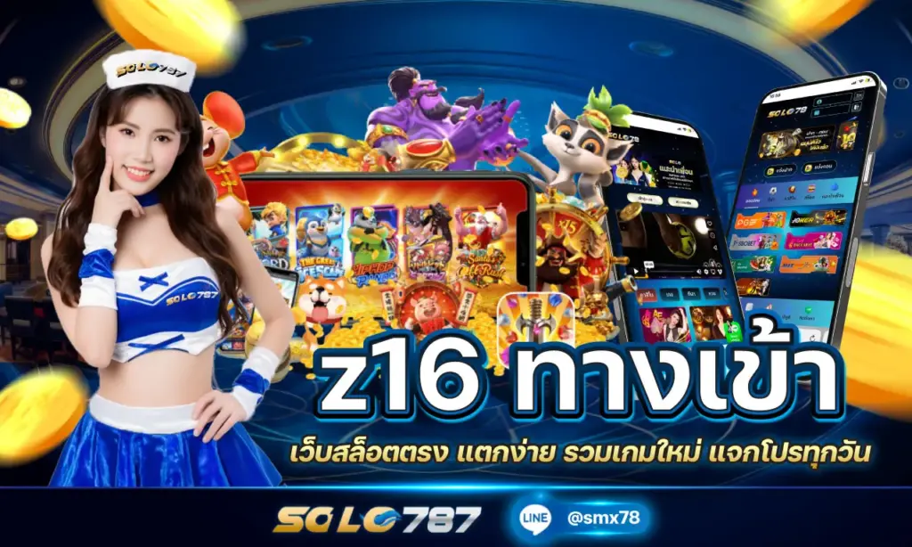 z16 ทางเข้า